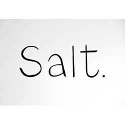Logo Salt.